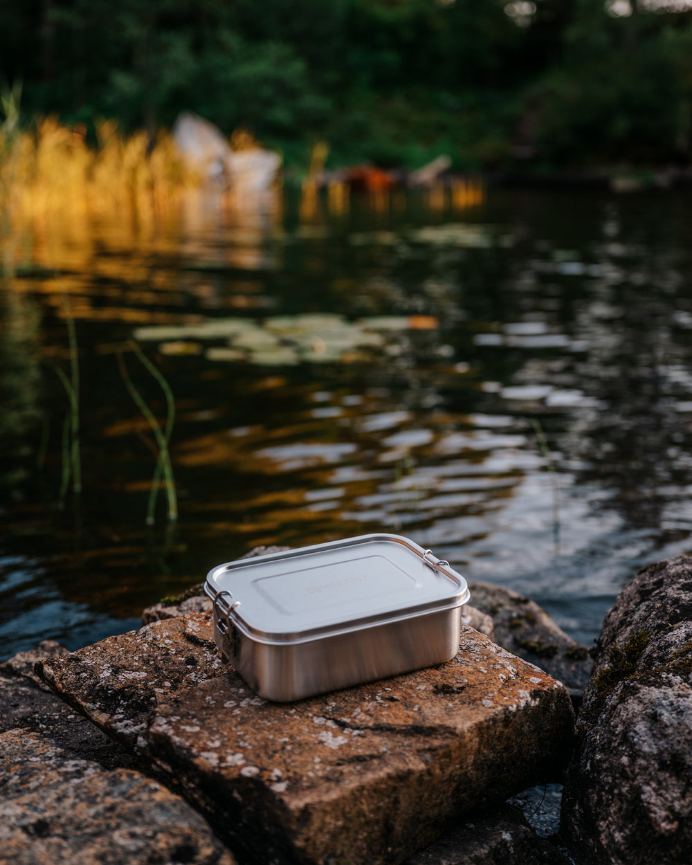 Vor- und Nachteile der Edelstahl Lunchbox – Blockhütte
